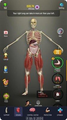 放置人生模拟攻略大全