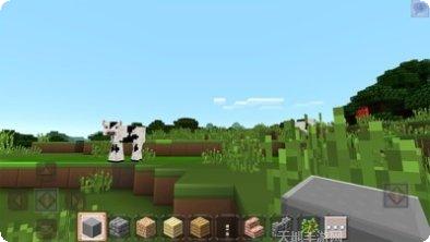 我的暑假秘密回忆剧情