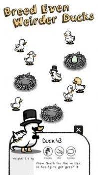 Cluck Cluck Moose最新版本