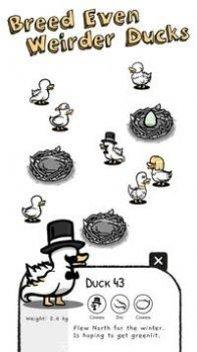 Cluck Cluck Moose玩法介绍