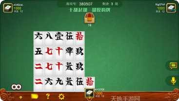 皮皮娄底字牌下载