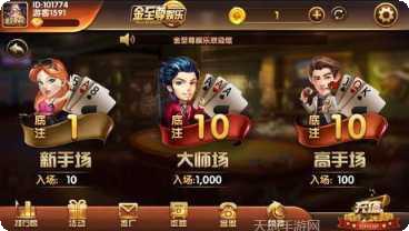 金至尊娱乐安卓版