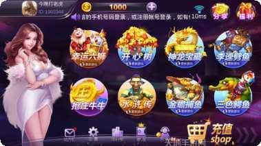 恒星电玩激活码