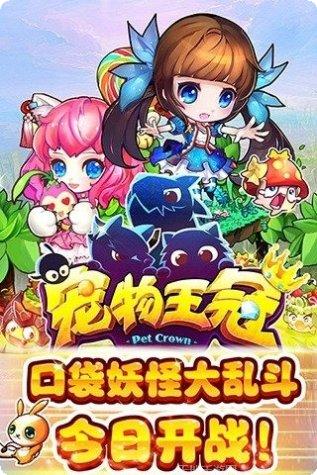 宠物王冠角色推荐