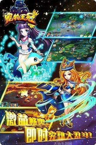 宠物王冠游戏攻略