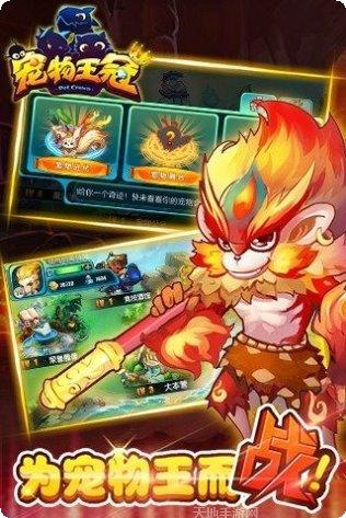 宠物王冠角色介绍