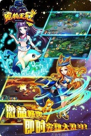 宠物王冠游戏攻略