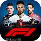 F1 Racing