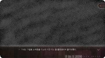 世界上最强壮的奶奶玩家评价