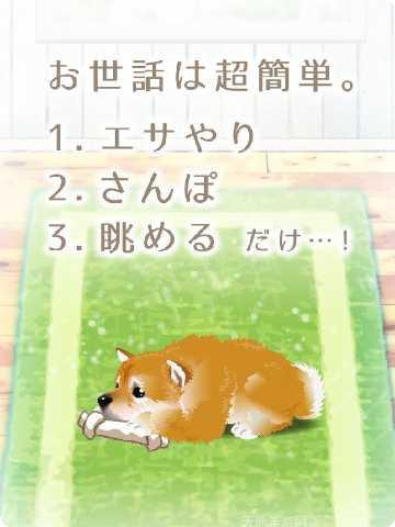 治愈系金鱼养成日记