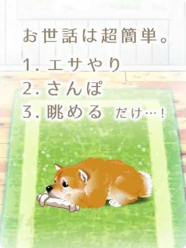 治愈系金鱼养成日记