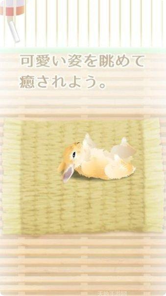 治愈系金鱼养成心得