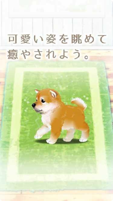 治愈系金鱼养成攻略