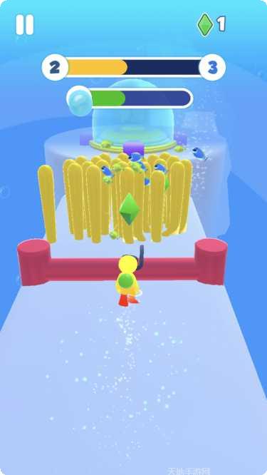 潜水员海洋生物互动