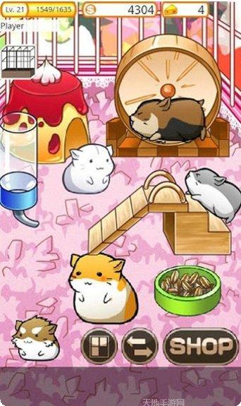 仓鼠的野餐下载