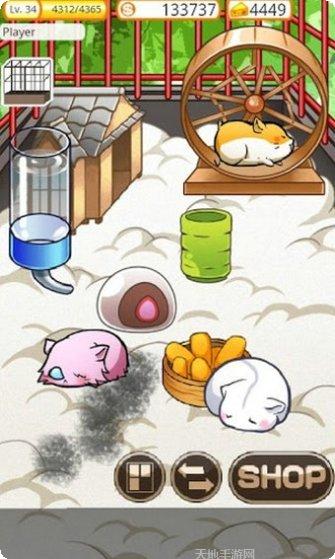 仓鼠的野餐攻略