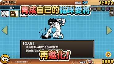 猫咪大战最新版本