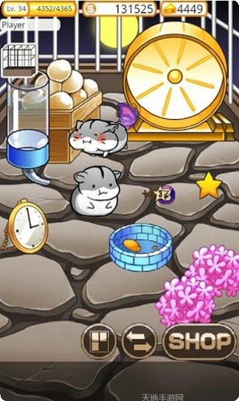 仓鼠的野餐攻略