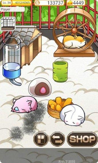 仓鼠的野餐怎么玩