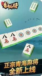 圣盛青海麻将比赛