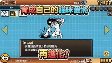 猫咪大战游戏攻略