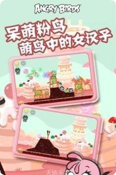 Angry Flowers角色大全