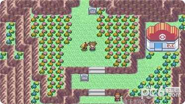 宠物集结最新版本