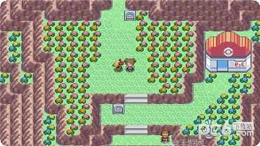 宠物集结角色推荐