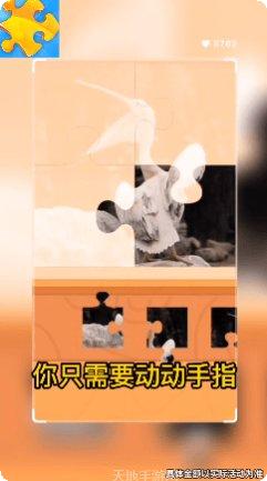 王者爱拼图玩家社区