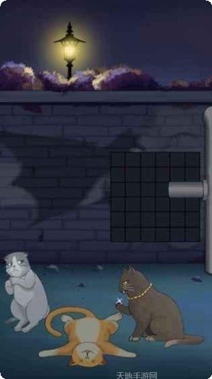 流浪的橘猫侠游戏攻略