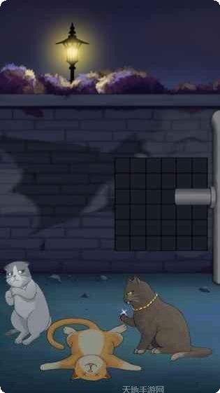 流浪的橘猫侠角色介绍