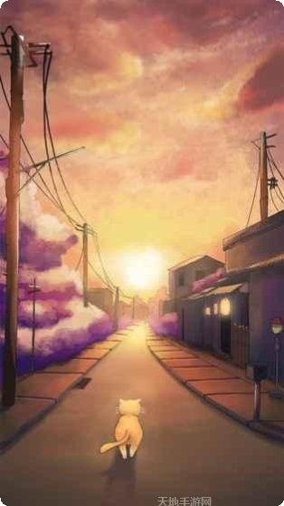 流浪的橘猫侠角色介绍