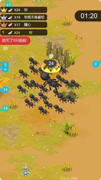 蚂蚁大战斗角色