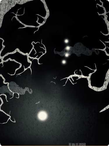 森林之狼角色介绍