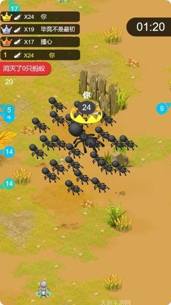 蚂蚁大战斗游戏评测
