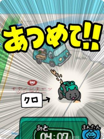 猫咪街头乐队角色收集