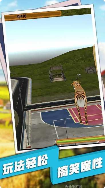 普通的鸡游戏评测