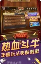 来玩牛牛棋牌安卓版