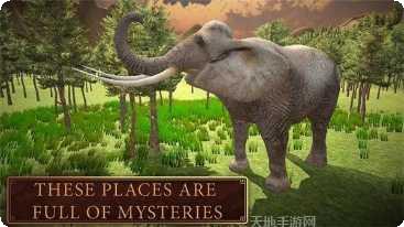 野外生存模拟资源获取