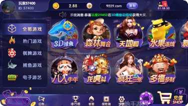 龟派气功棋牌游戏下载