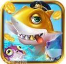 天天乐金蟾捕鱼