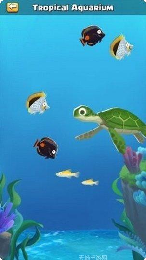 海洋公园世界游戏玩法