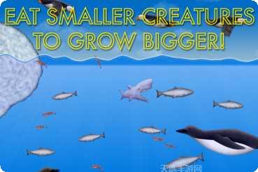 海洋生物拼图游戏评测