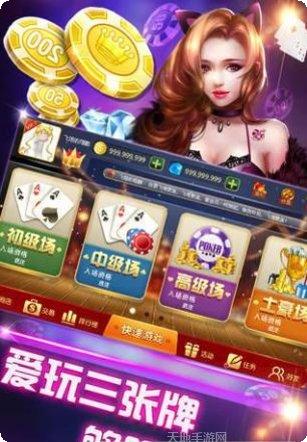 西元贵阳棋牌安卓版