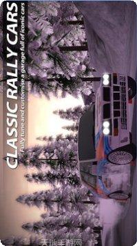 拉力竞速起源游戏下载