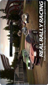 拉力竞速起源最新版本