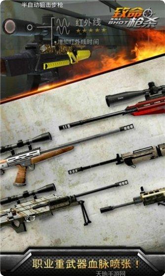 致命枪杀武器大全