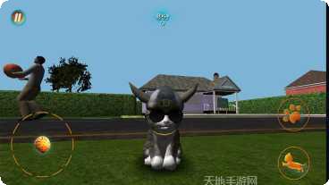 真实小猫3D模拟下载