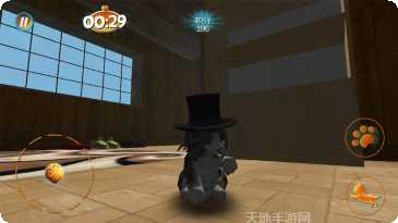 真实小猫3D模拟最新版本