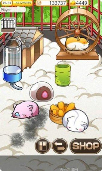 仓鼠的野餐游戏攻略